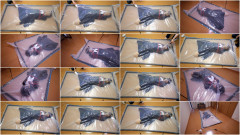 Fantia - Lemon - Clip 54 | Download from Files Monster