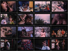 Erotic-Dreams 1982's | Download from Files Monster