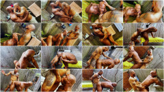 OnlyFans RioGrande & Itstylerreese-NYC (Zane Kazan) | Download from Files Monster