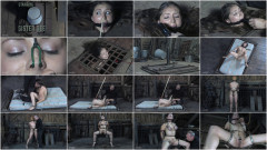 Dee The Fly Bonus | Download from Files Monster