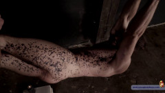 Commando Stas in Slavery - Final Part | Download from Files Monster