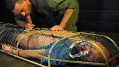 Caged: Max Ferro Locks Up And Abuses Joseph Banks | Download from Files Monster