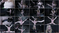 Fervor And Flex | Download from Files Monster