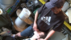 Wild Sensation | Download from Files Monster