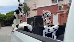 Lola Noir - MOOvie stars | Download from Files Monster