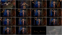 Cage on the clitoris | Download from Files Monster