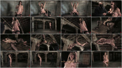 Rising Starlets | Download from Files Monster