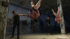 The Bodybuilders and The Onyx | Download from Files Monster