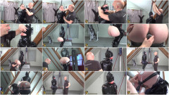 It's A Wrap | Download from Files Monster