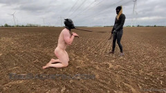 Die Sadistin Sara Stahl (16 Clips)