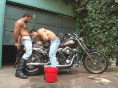 Naked muscles the new breed colt studio