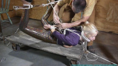 Miss Glitter Pants in a Legs Spread Hogtie - Part 2 Futilestruggles