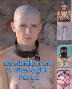 Evolution Of A Slavegirl Part 2