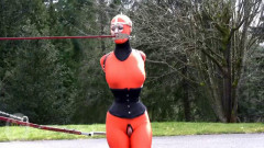 Cherry Torn - Stuffed and Electrified