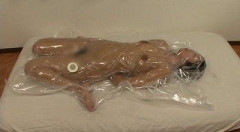 CocoaSoft Fetish part 2