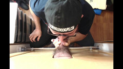 Gloryhole Hookups Nut Tugging Gloryhole Blowjob