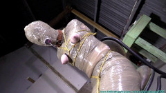 Diamondly Captured, Mummified for Shipping - Part 3 Futilestruggles