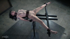 Charlotte Sartre - Tilt-A-Girl