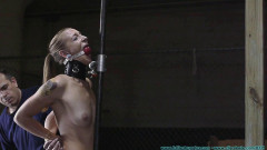 Collared, Gagged, Spanked, Whipped