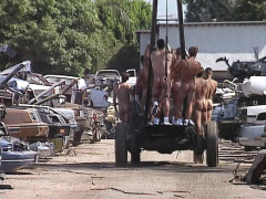 Sharpshooter junkyard boyz