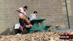 The beauty of dick in the ass