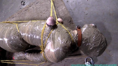 Diamondly Captured, Mummified for Shipping - Part 4 Futilestruggles