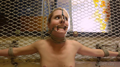 TG - Breaking Pointe Part One - Elise Graves and Odette Delacroix