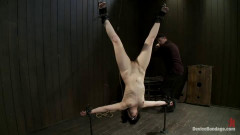 Firm Tush, Sculpted Form, Upside-Down