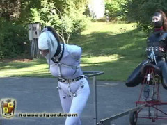 Pony Fucked