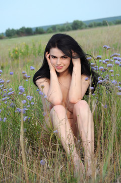 Mirela A - Flores