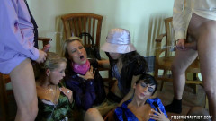 Dolled Up Ladies Love Getting Pounded And Their Satin Piss On