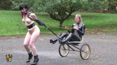 Mistress Quinn's new Pony Girl -Part I