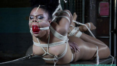 Purple Jade Stripped to Pantyhose and Hogtied  - Part 5 Futilestruggles