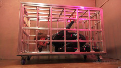 Cage Time