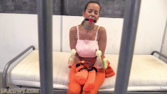 Hucows Cindy Dollar – prisoner milking program