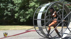 Mobile Walker Wheel