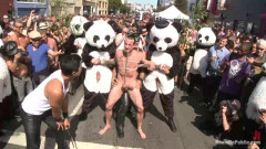 Naked Pandas Trick or Treat - Just in time for Halloween