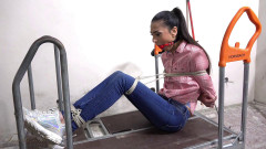 Ashley - good morning