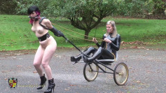 Mistress Quinn's new Pony Girl -Part I