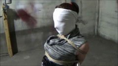 DizDat 2006-2016 Videos, Part 16