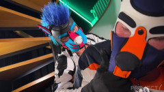 ProjectYstudios Dog training