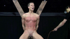 Marshall  Mandatory & Severe – Chapter 7