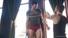 Jason Maddox