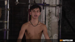 Gorgeous American Boy Maxxie