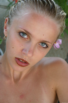 Arabella A - Presenting - by Cliff Wright