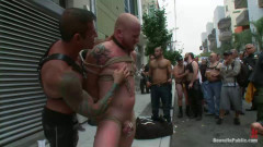 Dore Alley Pig
