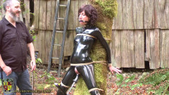 Tree Fucked