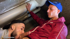 Lascar Bonhomme Citebeur videos