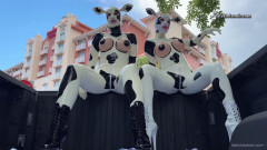 Lola Noir - MOOvie stars