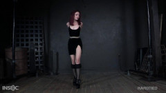 Bondage Fairy